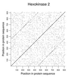 Hexokinase 2