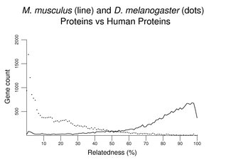 M. musculus (line) and D. melanogaster (dots) Proteins vs Human Proteins