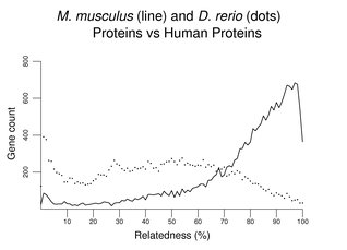 M. musculus (line) and D. rerio (dots) Proteins vs Human Proteins