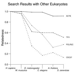 Search Results with Other Eukaryotes