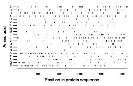 amino acid map