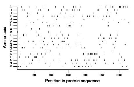 amino acid map