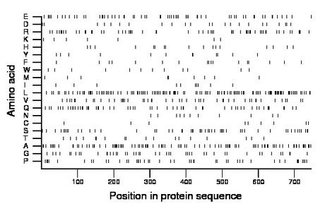 amino acid map