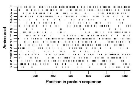 amino acid map