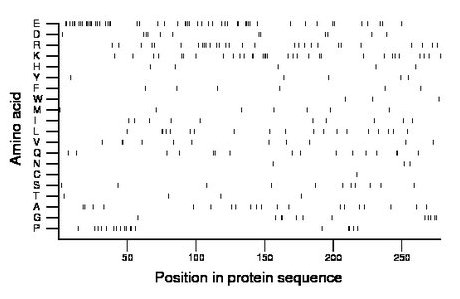 amino acid map