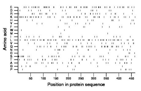 amino acid map