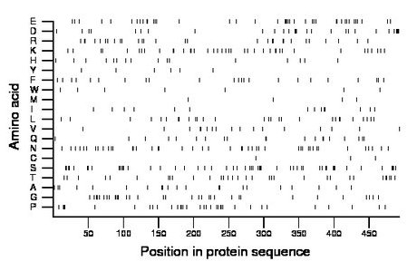 amino acid map