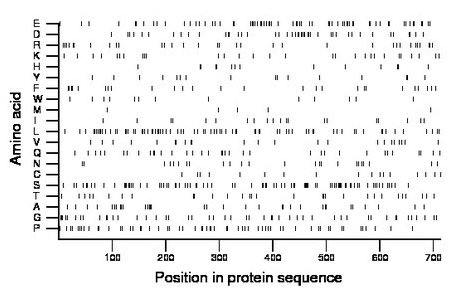 amino acid map