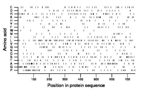 amino acid map