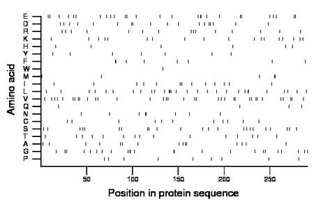 amino acid map