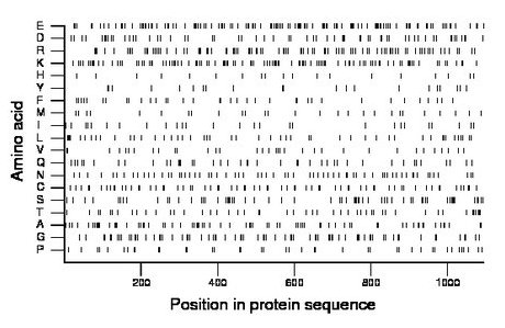 amino acid map