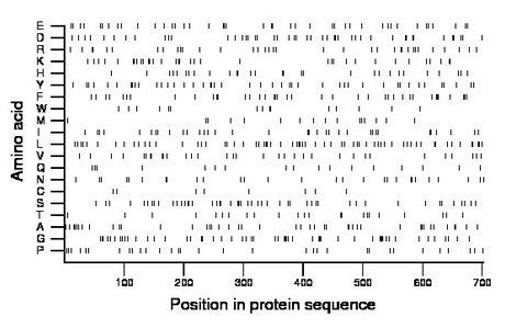 amino acid map