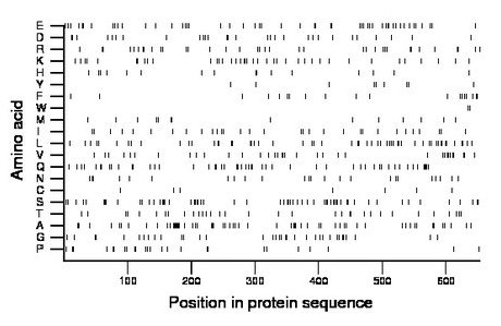 amino acid map