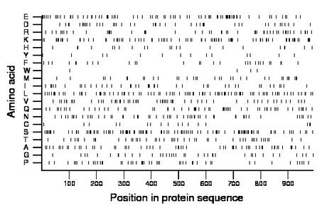 amino acid map