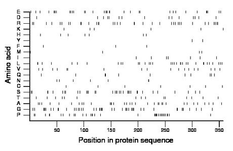 amino acid map