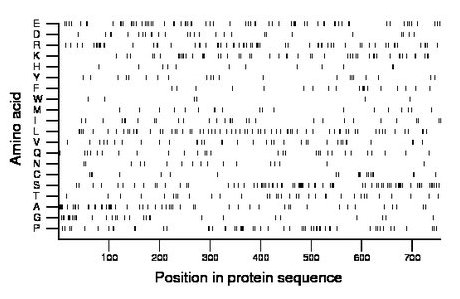 amino acid map