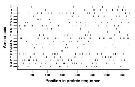 amino acid map