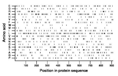 amino acid map