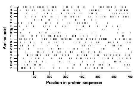 amino acid map