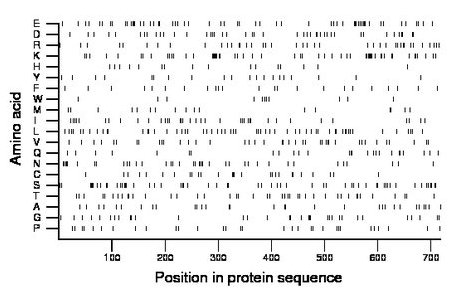 amino acid map