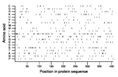 amino acid map