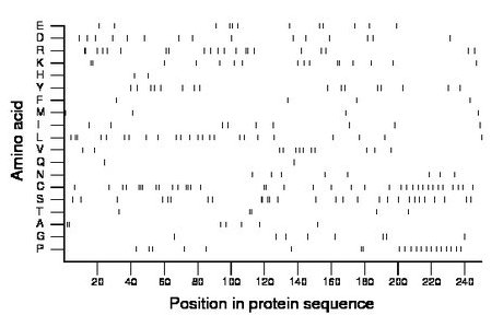 amino acid map