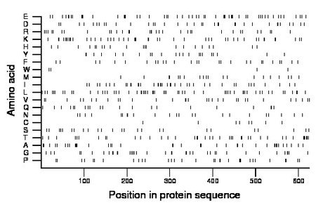 amino acid map