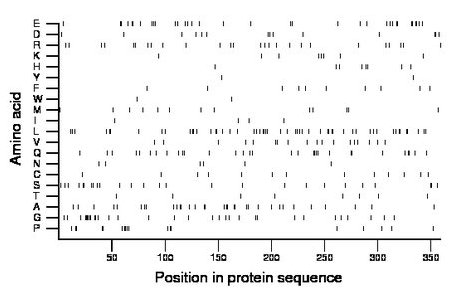 amino acid map