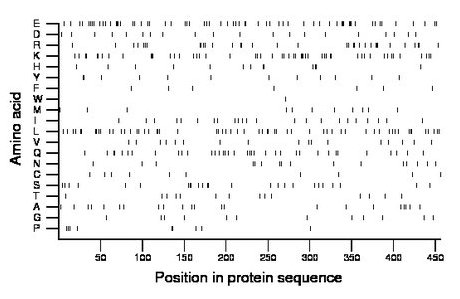 amino acid map