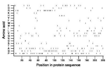 amino acid map