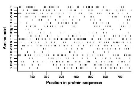 amino acid map