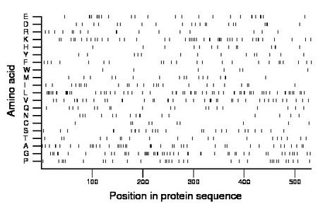 amino acid map