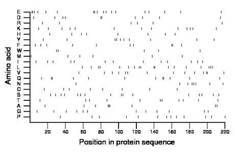 amino acid map