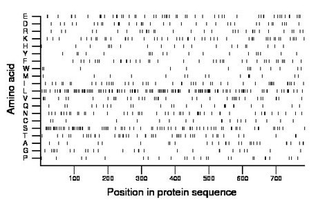 amino acid map