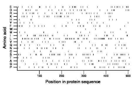 amino acid map