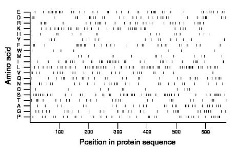 amino acid map