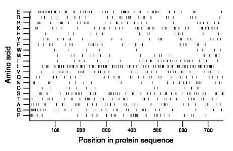 amino acid map