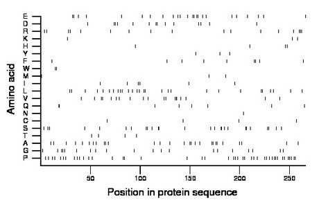 amino acid map