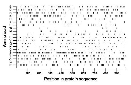 amino acid map