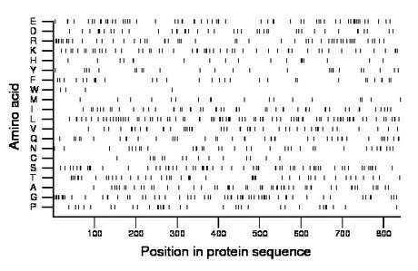 amino acid map