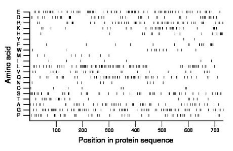 amino acid map