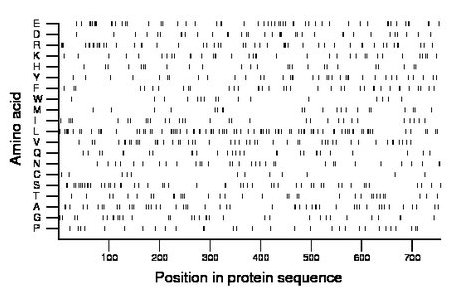 amino acid map