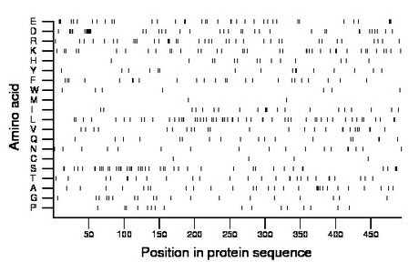 amino acid map