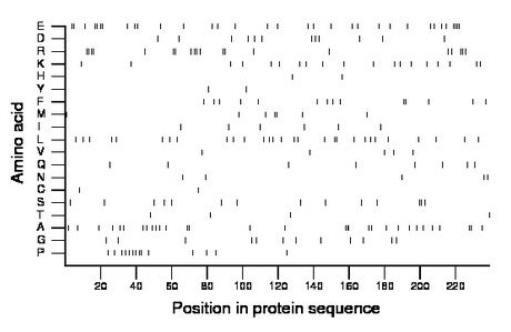 amino acid map