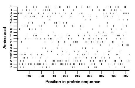 amino acid map