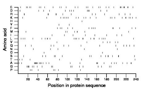 amino acid map