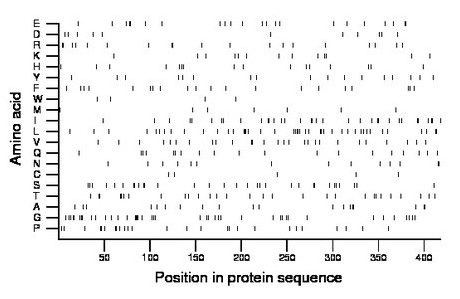 amino acid map