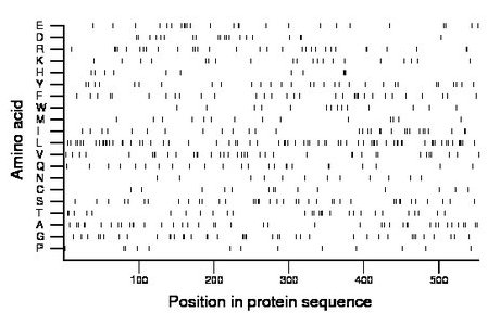 amino acid map