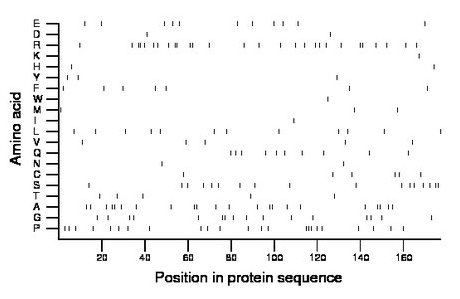 amino acid map