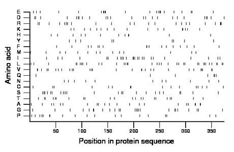 amino acid map